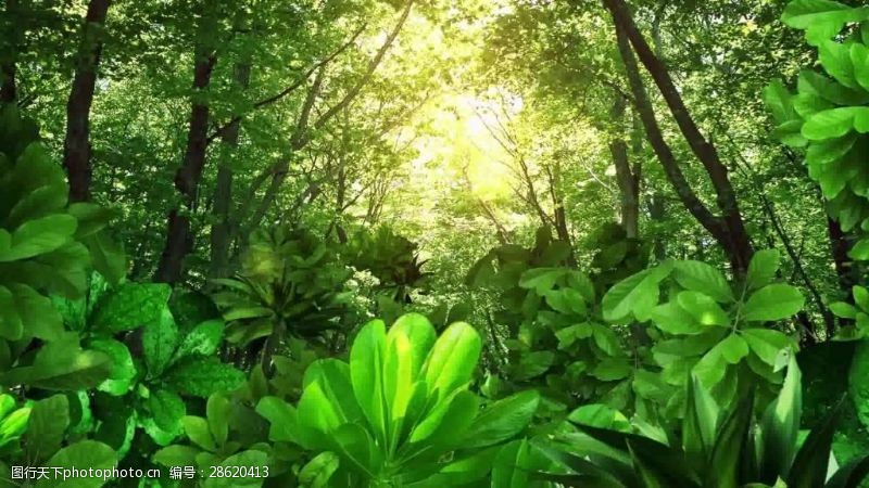 合成视频素材图片素材