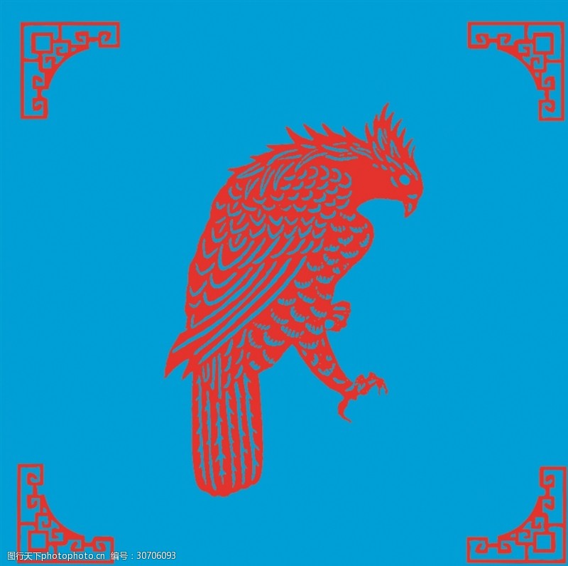 恒温动物图片素材