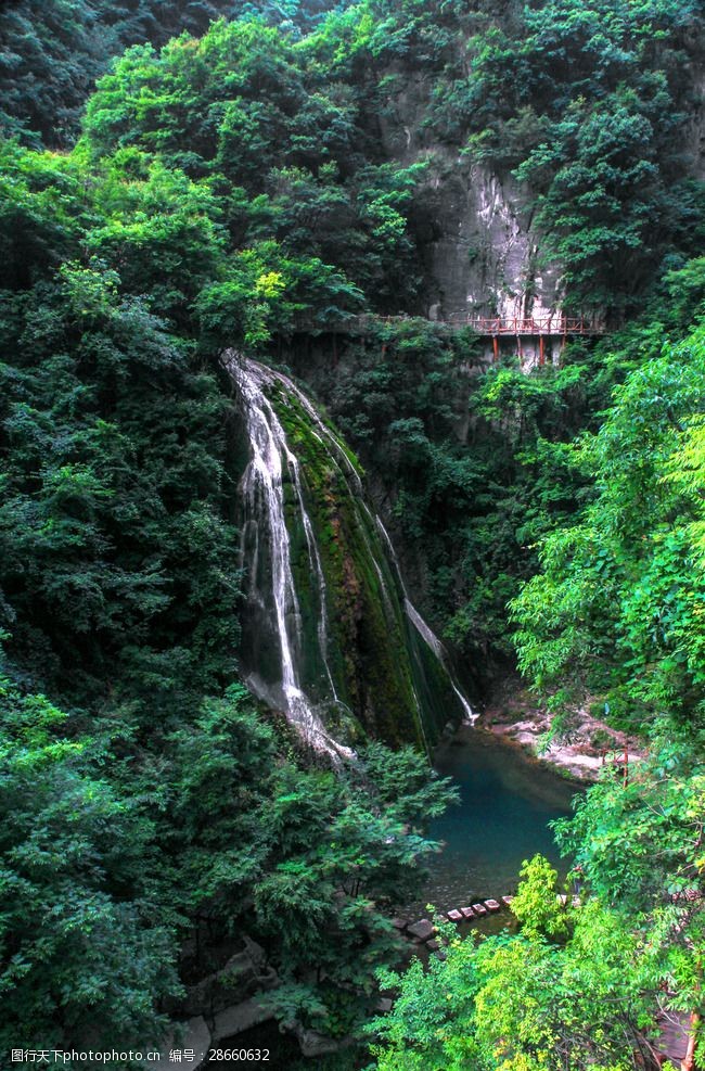 河南森林