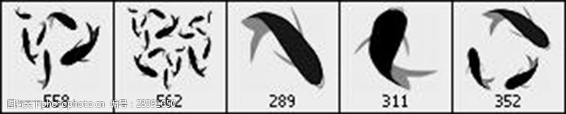 鱼影图片免费下载 鱼影素材 鱼影模板 图行天下素材网