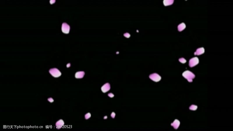 浪漫唯美粉色花瓣雨动态视频素材