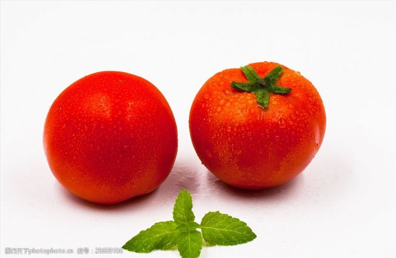 柿子西红柿