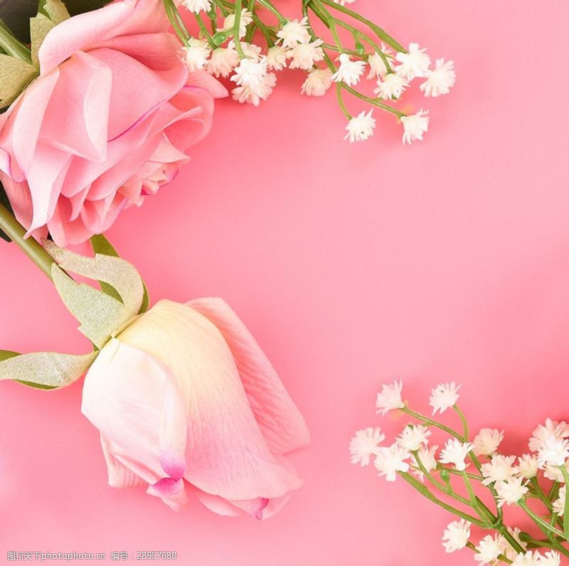 粉色鲜花浪漫素材背景