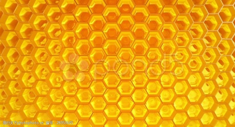 蜂窝状的蜂窝