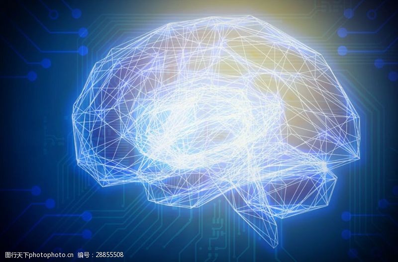 大脑神经蓝色发光线条科技大脑