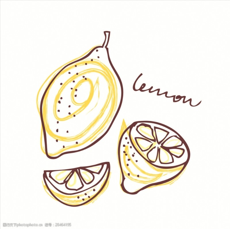 水果切面手绘柠檬矢量图下载