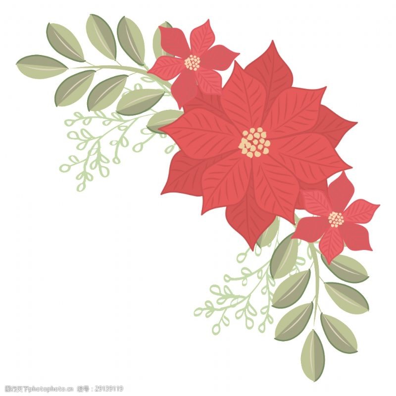抠图专用红色边框精致花卉透明素材