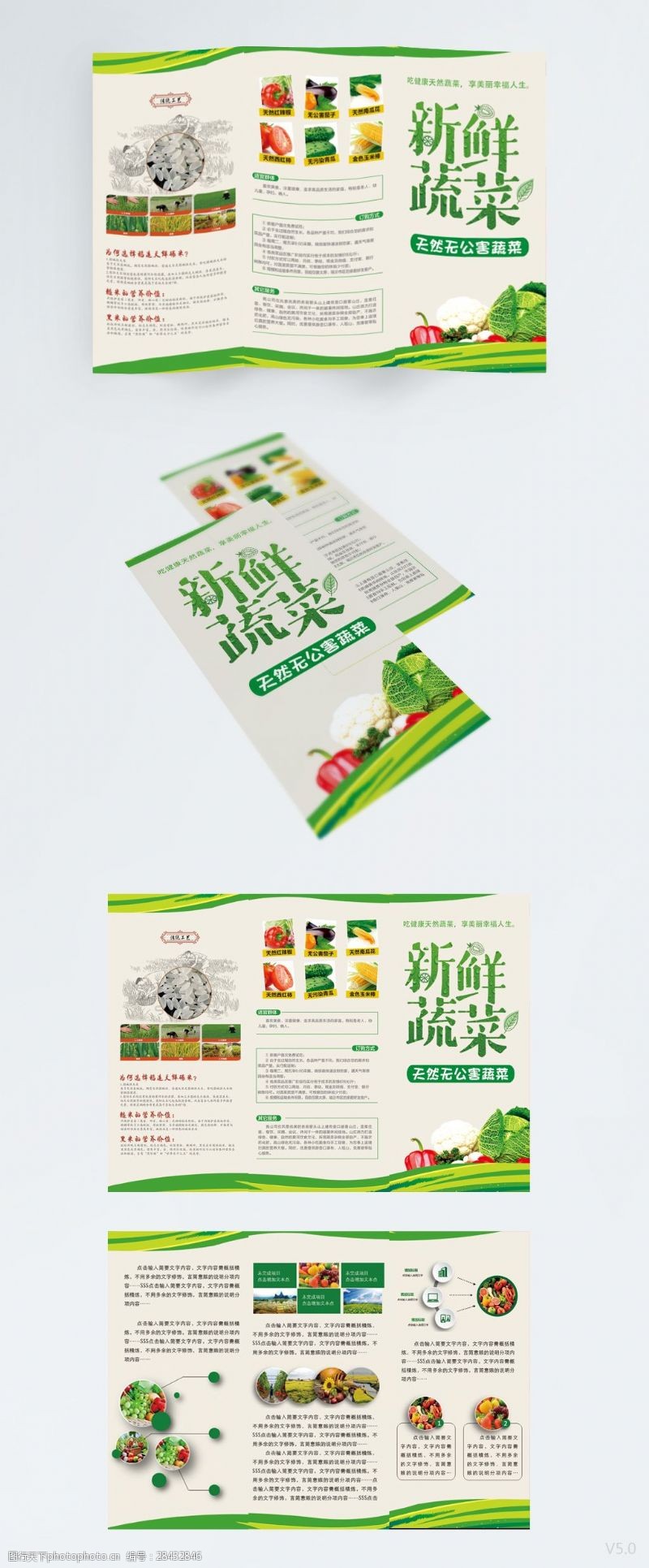 绿色新鲜蔬菜三折页设计