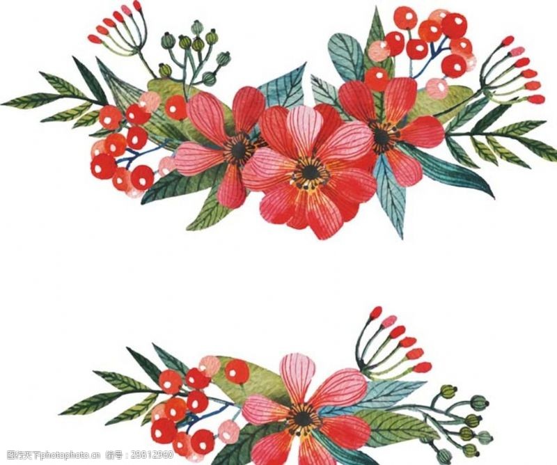 多种图案2款红色水彩手绘花卉矢量素材