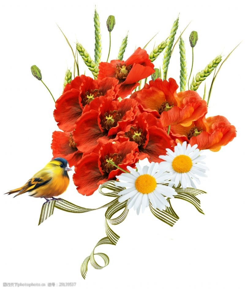 花束装饰红色花卉鸟类组合花束png透明素材
