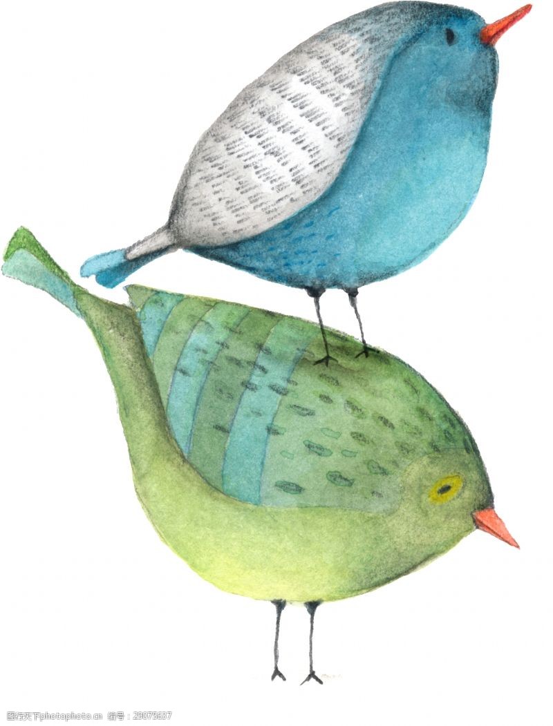 两只手手绘两只小鸟在玩png透明素材