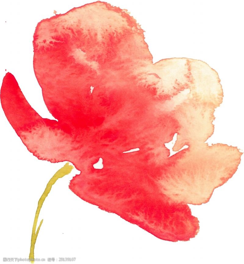 抠图专用涂鸦花卉透明素材