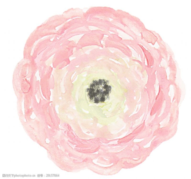 花束装饰粉彩花蕊卡通透明素材