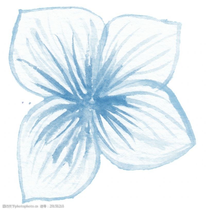 花束装饰蓝线花叶卡通透明素材