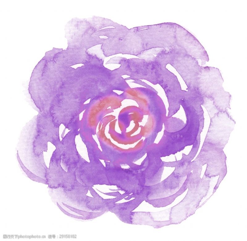 花束装饰紫衣花蕊卡通透明素材