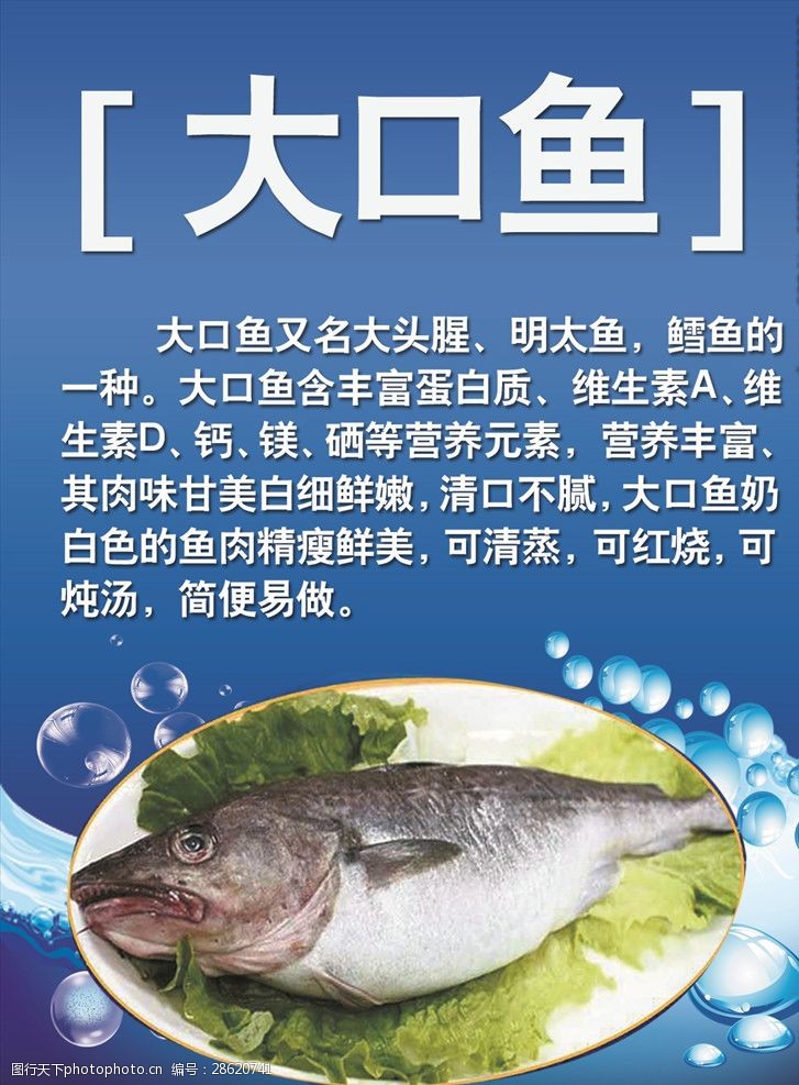 大口鱼图片免费下载 大口鱼素材 大口鱼模板 图行天下素材网