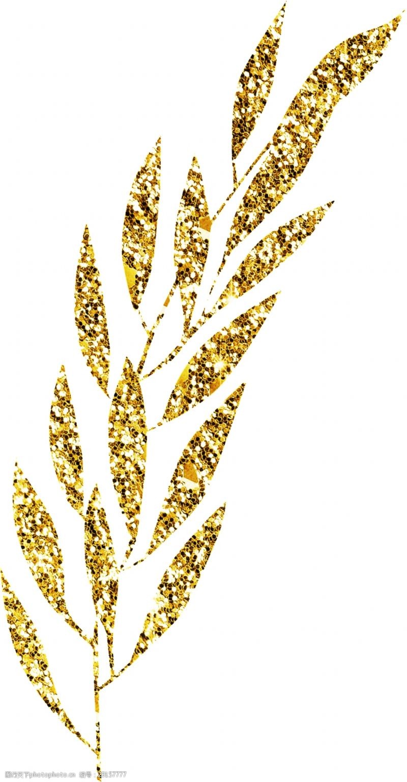 花束装饰金黄花叶卡通透明素材