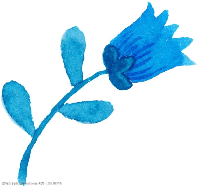 花束装饰蓝色玫瑰卡通透明素材