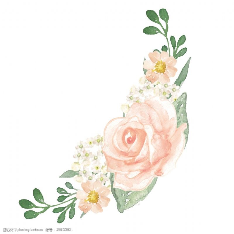 抠图专用粉嫩花卉卡通透明素材