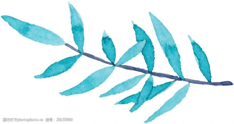 抠图专用柳树树叶卡通透明素材