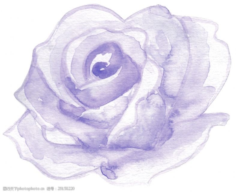 花束装饰紫色花瓣卡通透明素材