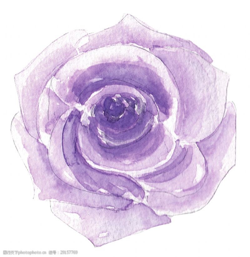 花束装饰紫馨花蕊卡通透明素材