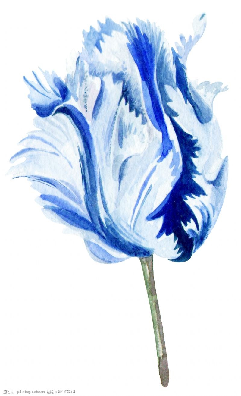 花束装饰灿蓝花朵卡通透明素材