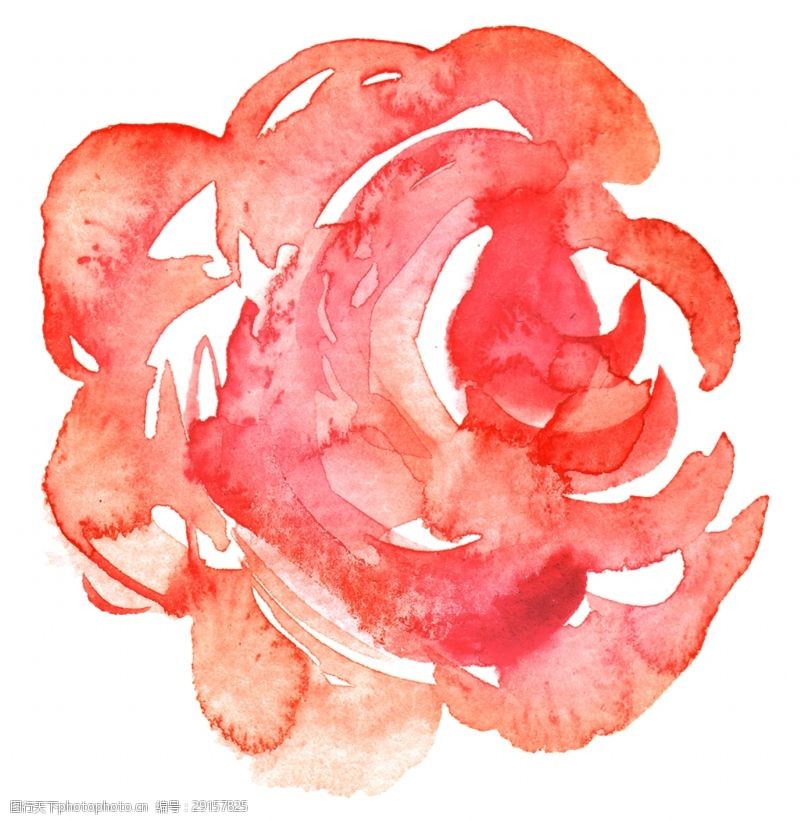 花束装饰红色花蕾卡通透明素材