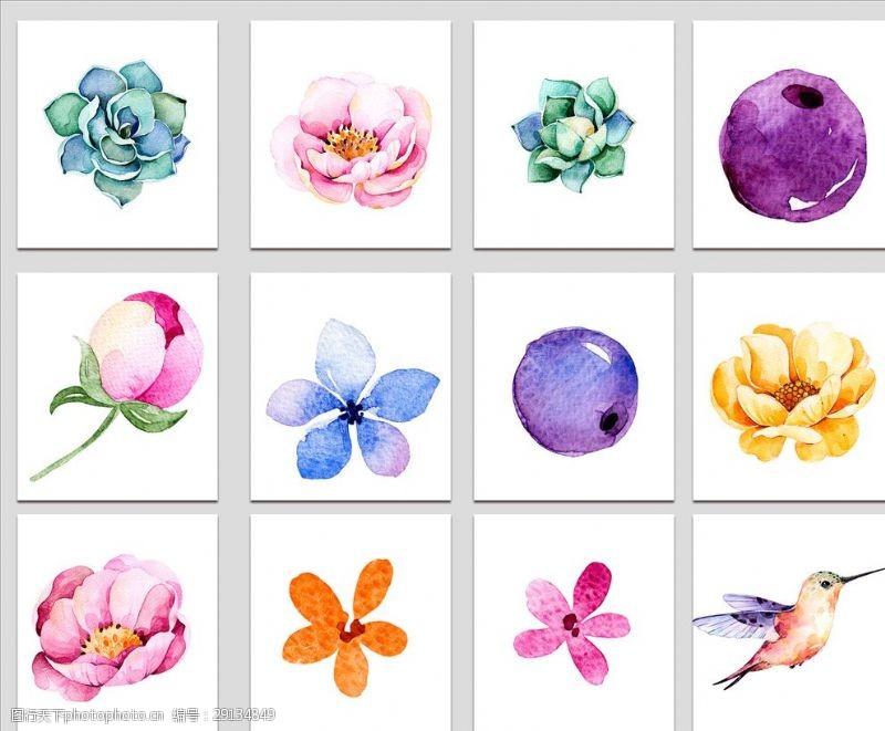 漫画水果水彩手绘花朵鲜花花卉装饰素材