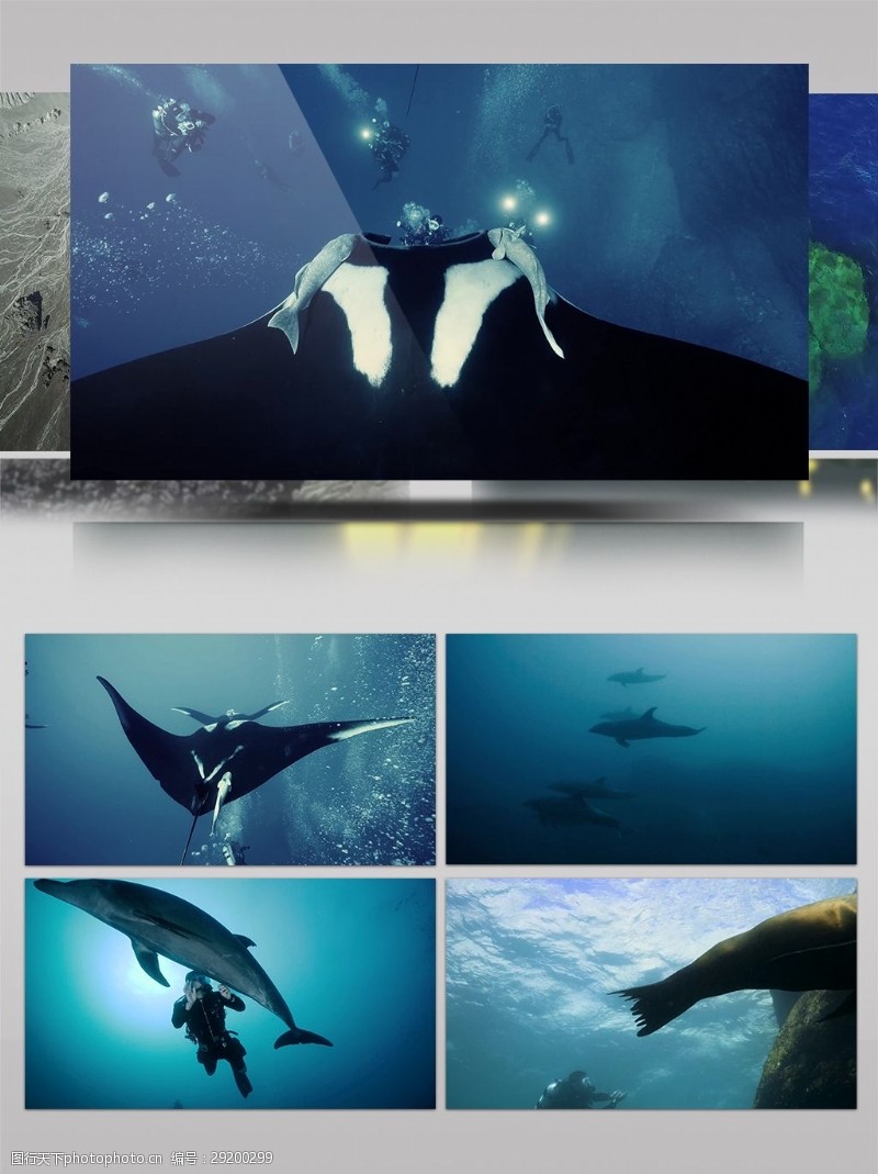 海底世界2K索可罗潜水宣传片
