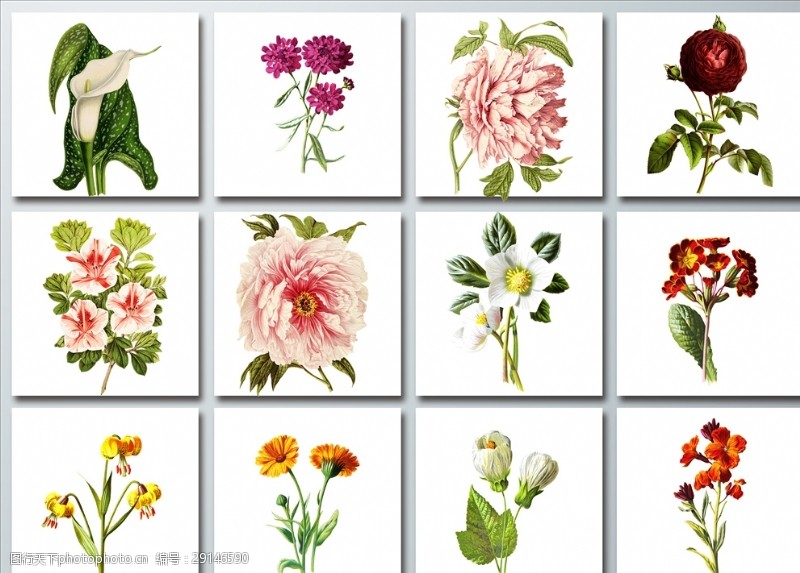 花束装饰水彩手绘植物鲜花png装饰素材