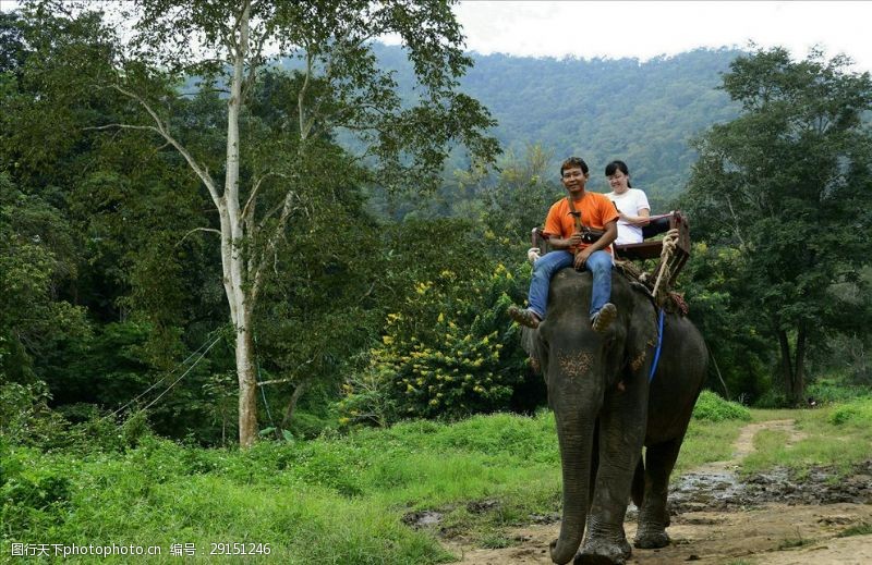 动物表演泰国清迈风情