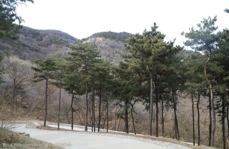 公园绿化冬日西山