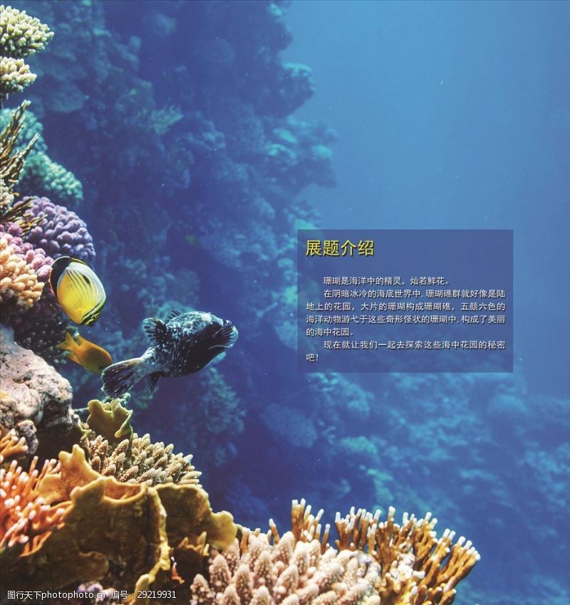 海底世界珊瑚展题