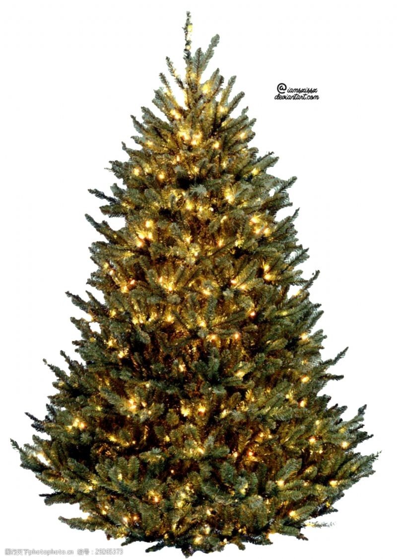 抠图专用美丽圣诞树透明素材