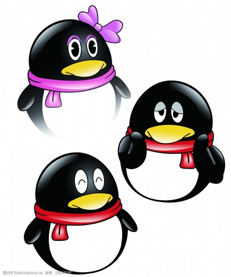 qq企鹅图标图片免费下载_qq企鹅图标素材_qq企鹅图标模板-图行天下素材网