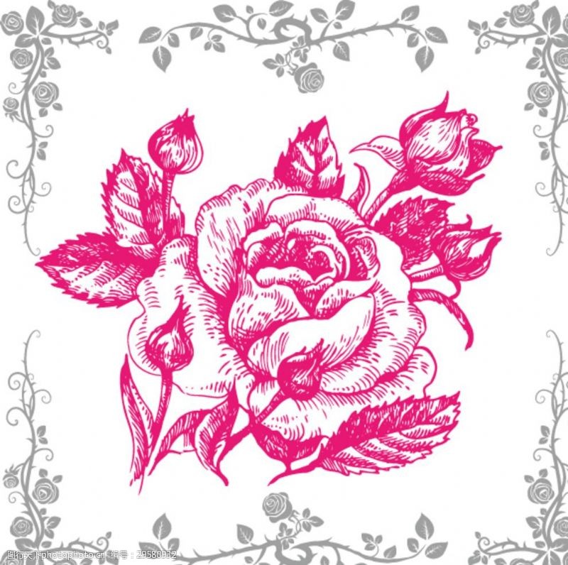 粉色玫瑰花束粉色玫瑰