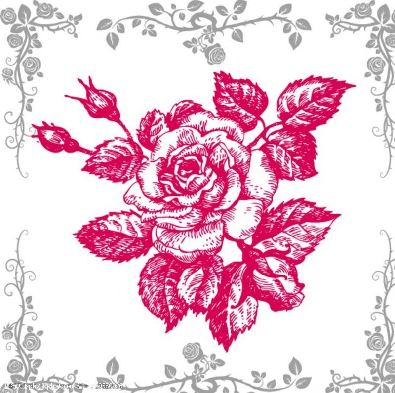 粉色玫瑰花束花卉