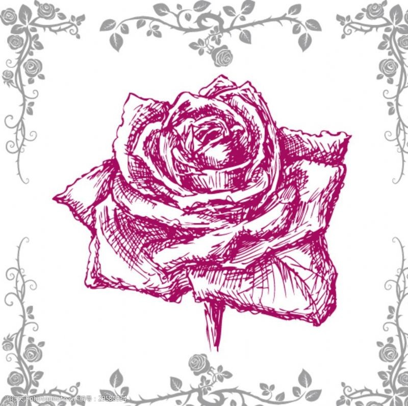 粉色玫瑰花束手绘玫瑰花