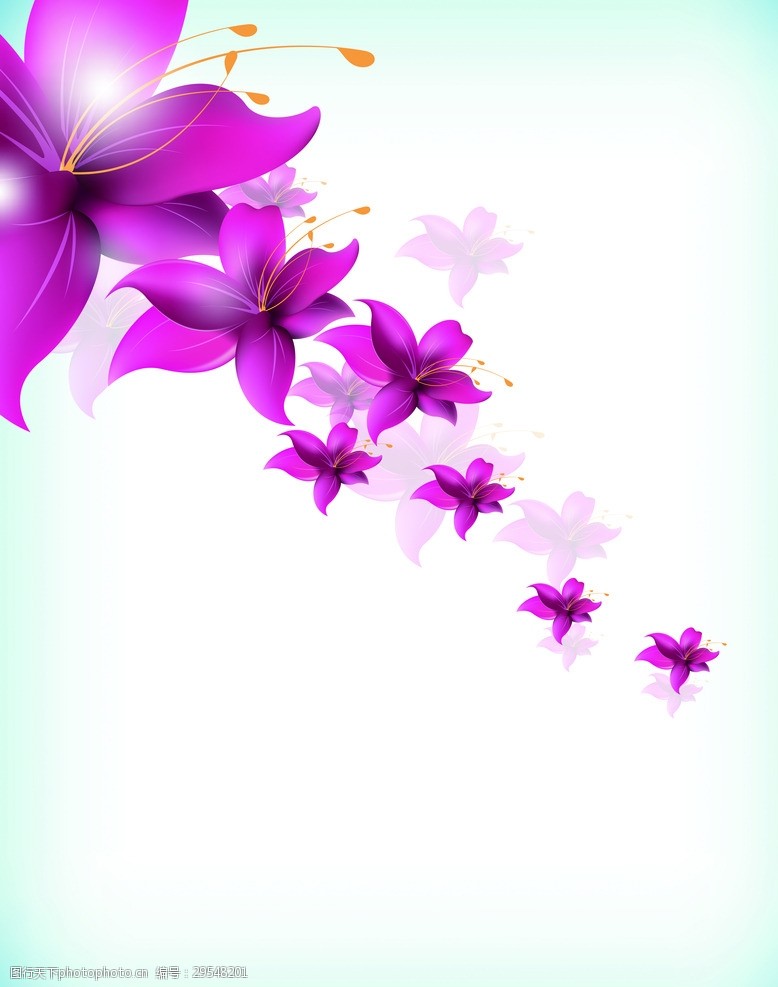 背景紫色花图片免费下载 背景紫色花素材 背景紫色花模板 图行天下素材网