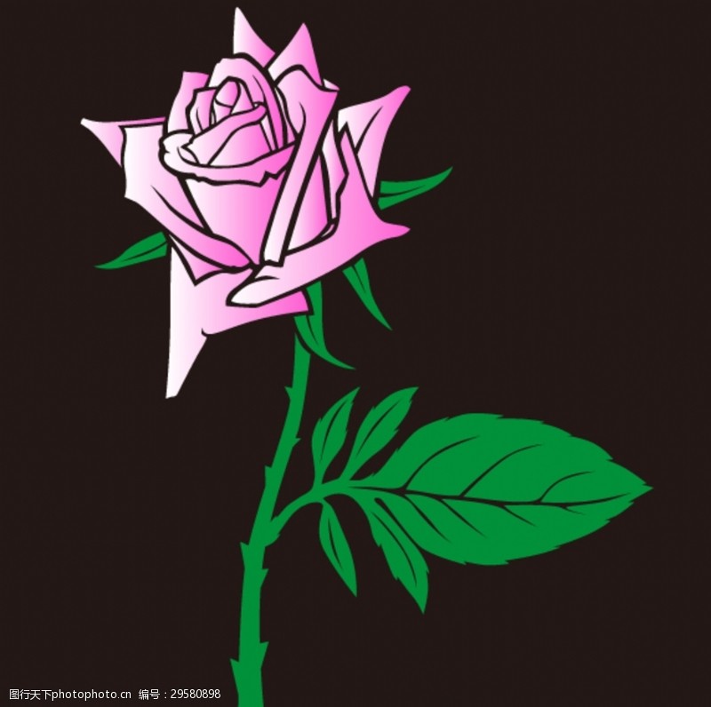 粉色玫瑰花束玫瑰花素材