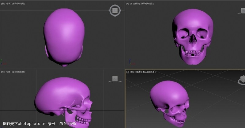 3d打印模型3D模型骷髅头骨