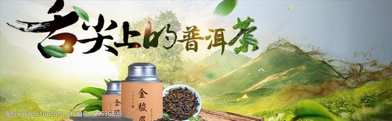 茶文化展板普洱茶
