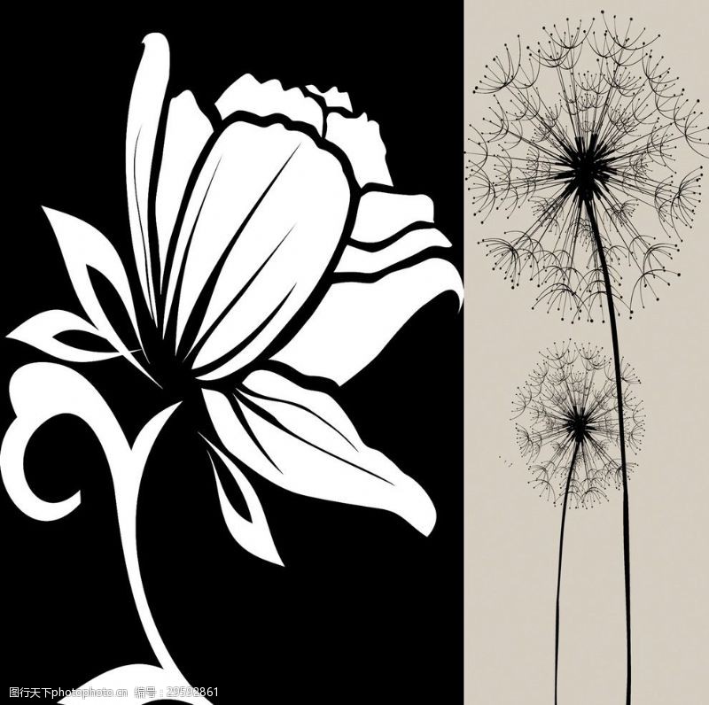 抽象油画画屏黑白矢量花卉