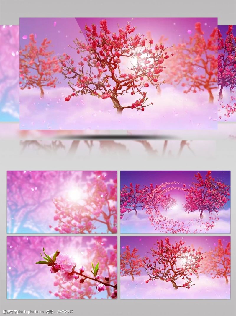 玫红树叶艳丽花瓣飞舞渲染梅花树