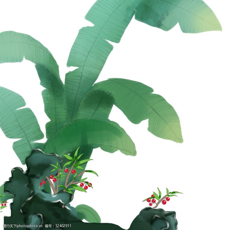 中国古代植物图片免费下载 中国古代植物素材 中国古代植物模板 图行天下素材网