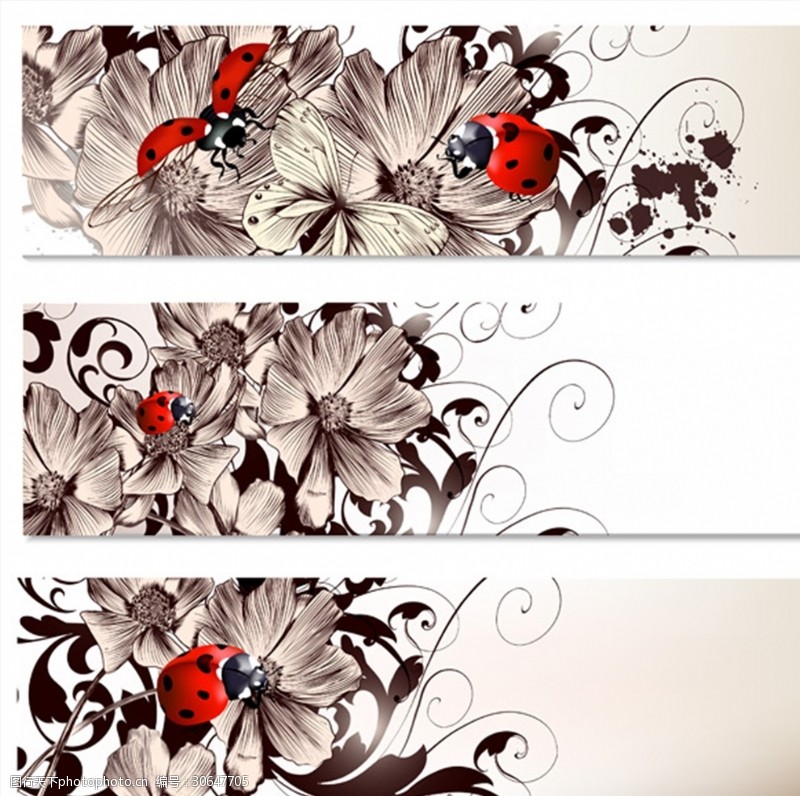 花纹花卉横幅瓢虫花
