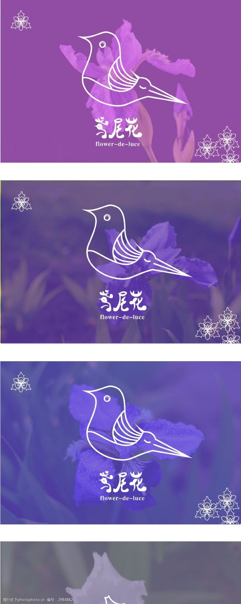 小鸟标志鸢尾花标志logo设计