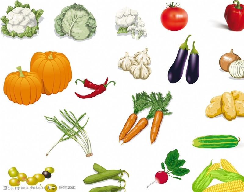 蔬菜瓜果丶矢量蔬菜