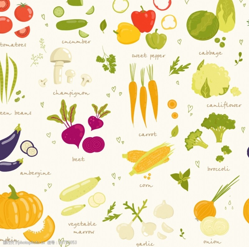 蔬菜瓜果丶矢量蔬菜